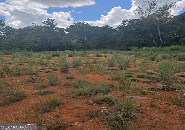 Land for sale at 890 Forrester Cemetery Rd, Covington, GA 30014 | MLS# 10842680