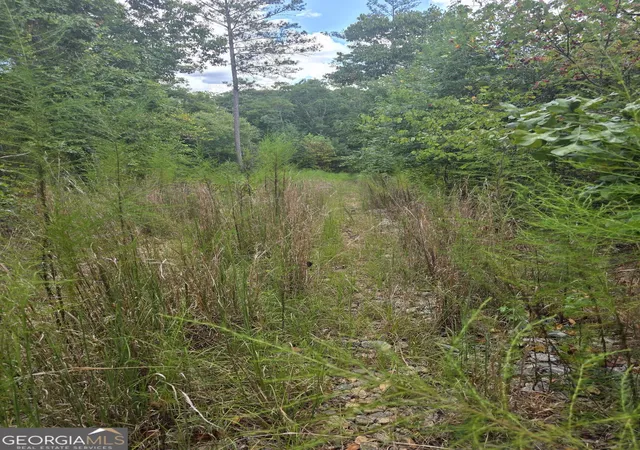 Photo 2 of Land for sale at 890 Forrester Cemetery Rd, Covington, GA 30014 | MLS# 10842680 | Listing updated on 2026-09-25