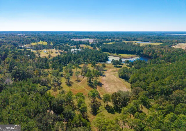 Photo 1 of Single family home for sale at 4688 Mt Olive Rd, Pelham, GA 31779 | MLS# 10880101 | Listing updated on 2026-10-29