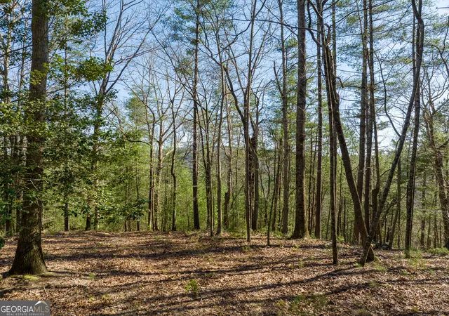 Photo 3 of Land for sale at 0 Coatopa Ct, Ellijay, GA 30540 | MLS# 10839708 | Listing updated on 2026-09-17