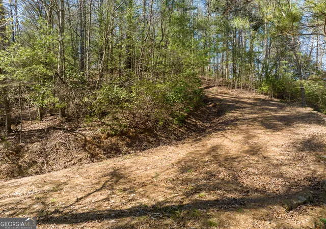Photo 4 of Land for sale at 0 Coatopa Ct, Ellijay, GA 30540 | MLS# 10839708 | Listing updated on 2026-09-17