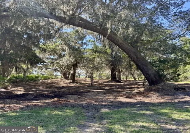 Photo 2 of Land for sale at 0 Campbell Pkwy, St. Marys, GA 31558 | MLS# 10830289 | Listing updated on 2026-10-07
