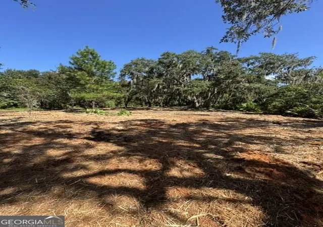 Photo 3 of Land for sale at 0 Campbell Pkwy, St. Marys, GA 31558 | MLS# 10830289 | Listing updated on 2026-10-07
