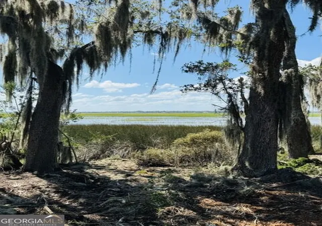 Photo 4 of Land for sale at 0 Campbell Pkwy, St. Marys, GA 31558 | MLS# 10830289 | Listing updated on 2026-10-07