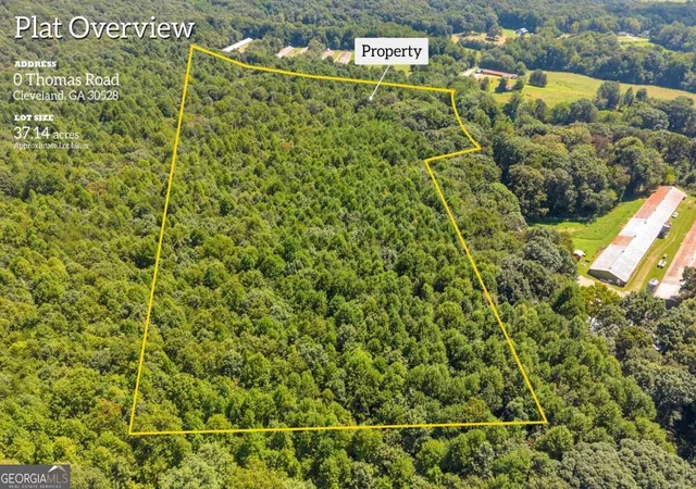 Photo 3 of Land for sale at 0 Thomas Rd, Cleveland, GA 30528 | MLS# 10839697 | Listing updated on 2026-09-17