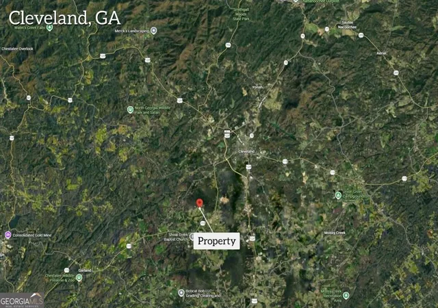 Photo 3 of Land for sale at 0 Thomas Rd, Cleveland, GA 30528 | MLS# 10839697 | Listing updated on 2026-09-17