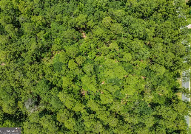 Photo 3 of Land for sale at V/l 18 Lighthouse Cir, Woodbine, GA 31569 | MLS# 10830461 | Listing updated on 2026-09-04