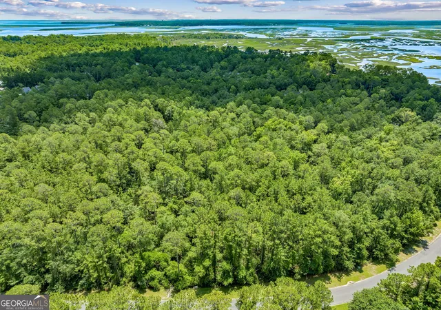 Photo 3 of Land for sale at V/l 18 Lighthouse Cir, Woodbine, GA 31569 | MLS# 10830461 | Listing updated on 2026-09-04