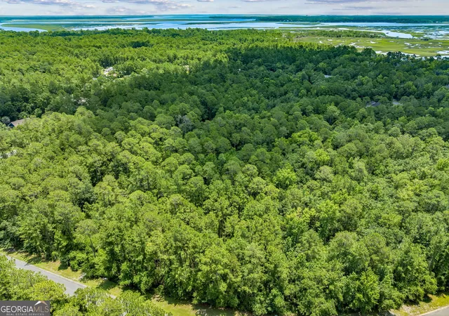 Photo 4 of Land for sale at V/l 18 Lighthouse Cir, Woodbine, GA 31569 | MLS# 10830461 | Listing updated on 2026-09-04