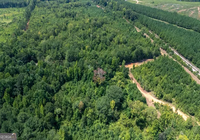 Photo 4 of Land for sale at 19 Hines Rd, Hogansville, GA 30230 | MLS# 10841089 | Listing updated on 2026-09-20