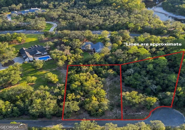 Land for sale at 6005 & 6007 Tree Top Ln, Blackshear, GA 31516 | MLS# 10733965