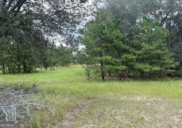 Photo 3 of Land for sale at 10532 Stillmore Hwy, Metter, GA 30439 | MLS# 10842213 | Listing updated on 2026-09-10