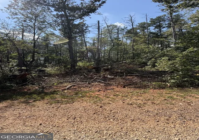 Photo 2 of Land for sale at 309 Seminole Trl, Martin, GA 30557 | MLS# 10851510 | Listing updated on 2026-10-07