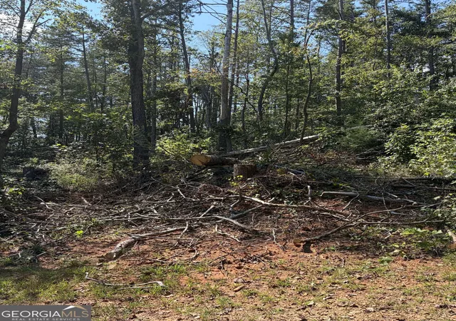 Photo 3 of Land for sale at 309 Seminole Trl, Martin, GA 30557 | MLS# 10851510 | Listing updated on 2026-10-07