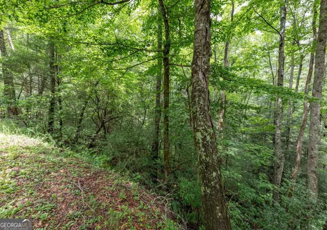 Photo 3 of Land for sale at 574 Ac Hardslate Rd, Ellijay, GA 30540 | MLS# 10812067 | Listing updated on 2026-10-08