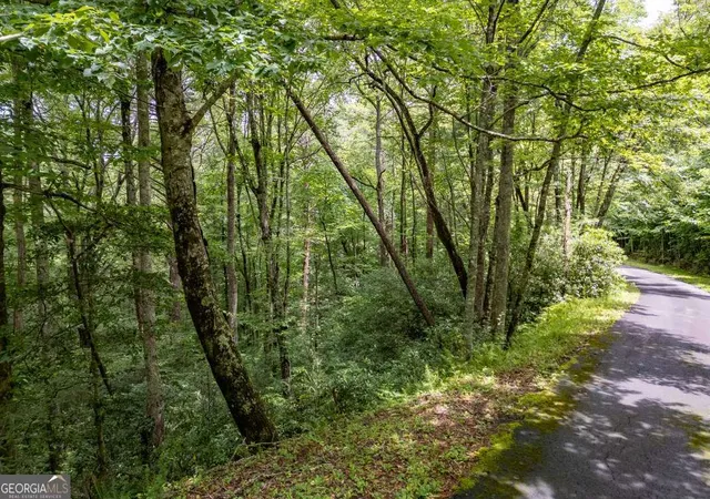 Photo 4 of Land for sale at 574 Ac Hardslate Rd, Ellijay, GA 30540 | MLS# 10812067 | Listing updated on 2026-10-08