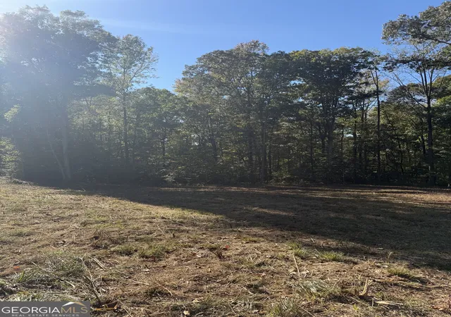 Photo 2 of Land for sale at 212 Hillshore Ct, Lavonia, GA 30553 | MLS# 10880459 | Listing updated on 2026-10-28
