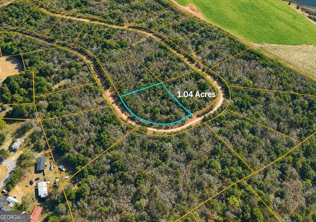 Photo 2 of Land for sale at Tbd1 Nelson Cir, Louiseville, GA 30434 | MLS# 10850606 | Listing updated on 2026-10-06