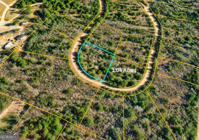 Photo 3 of Land for sale at Tbd1 Nelson Cir, Louiseville, GA 30434 | MLS# 10850606 | Listing updated on 2026-10-06
