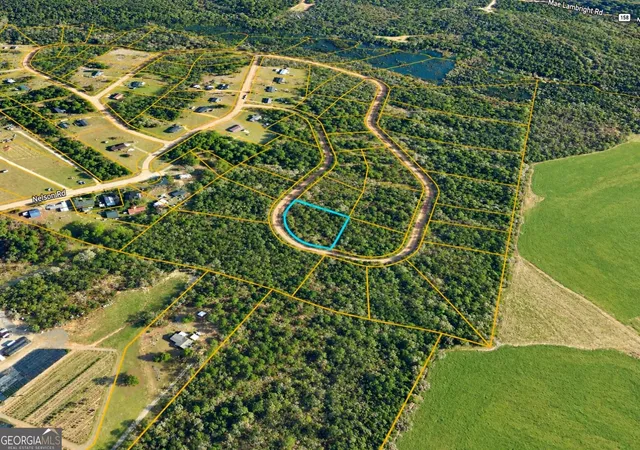 Photo 3 of Land for sale at Tbd1 Nelson Cir, Louiseville, GA 30434 | MLS# 10850606 | Listing updated on 2026-10-06