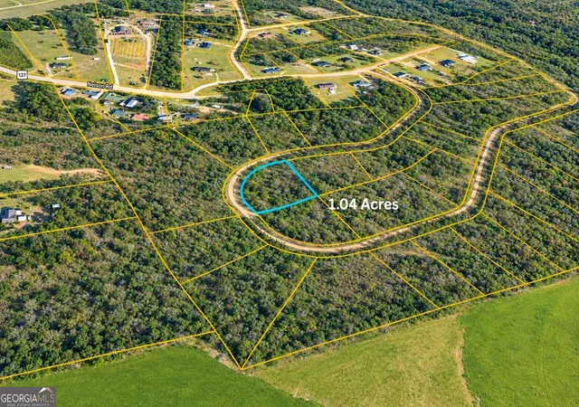 Photo 4 of Land for sale at Tbd1 Nelson Cir, Louiseville, GA 30434 | MLS# 10850606 | Listing updated on 2026-10-06