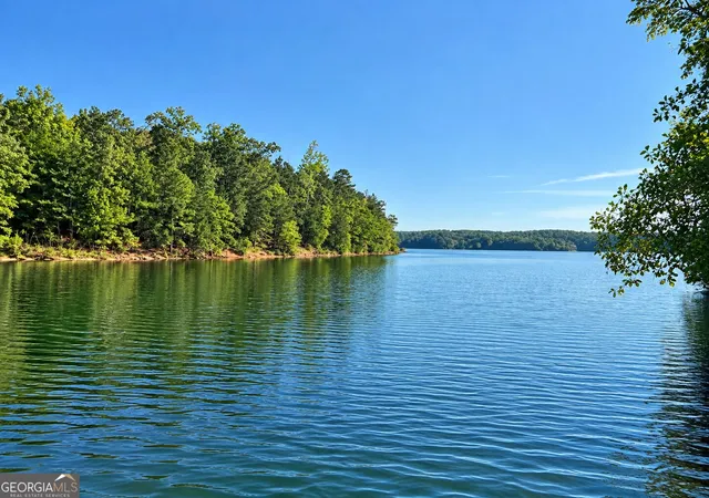 Land for sale at 0 Bluff Rd #LOT 21, Elberton, GA 30635 | MLS# 10850397