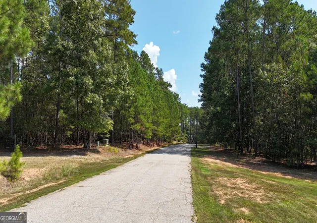 Photo 3 of Land for sale at 0 Bluff Rd #LOT 21, Elberton, GA 30635 | MLS# 10850397 | Listing updated on 2026-10-05