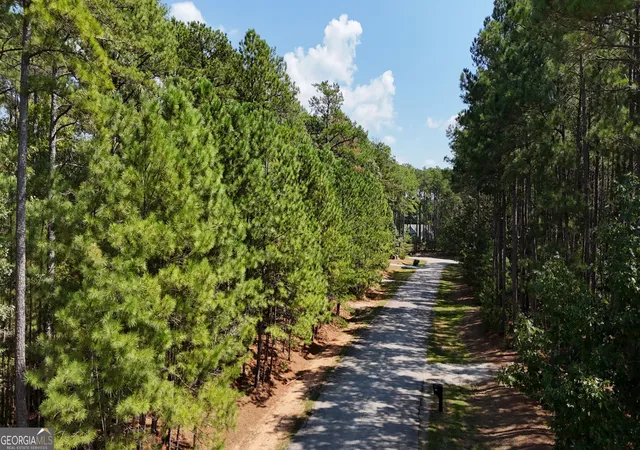 Photo 4 of Land for sale at 0 Bluff Rd #LOT 21, Elberton, GA 30635 | MLS# 10850397 | Listing updated on 2026-10-05