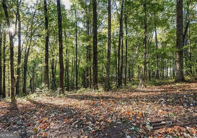 Photo 2 of Land for sale at 728 Chattin Dr, Canton, GA 30115 | MLS# 10879208 | Listing updated on 2026-10-27