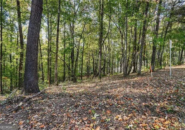 Photo 3 of Land for sale at 728 Chattin Dr, Canton, GA 30115 | MLS# 10879208 | Listing updated on 2026-10-27