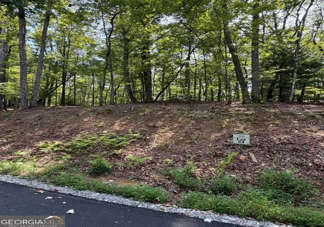Photo 1 of Land for sale at Lot 24 Prospect Ridge, Blue Ridge, GA 30513 | MLS# 10848534 | Listing updated on 2026-09-18
