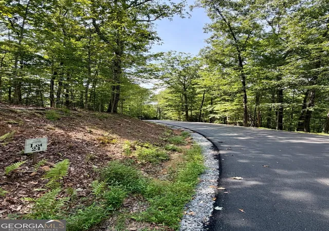 Photo 3 of Land for sale at Lot 24 Prospect Ridge, Blue Ridge, GA 30513 | MLS# 10848534 | Listing updated on 2026-09-18