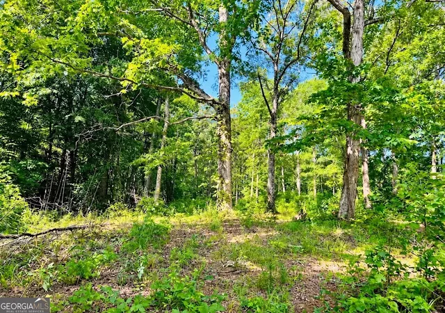 Photo 2 of Land for sale at 255 Hanson Dr, Lagrange, GA 30240 | MLS# 10839906 | Listing updated on 2026-09-18