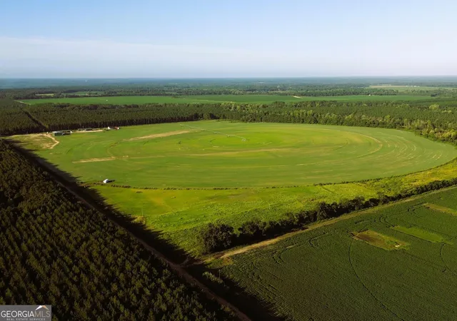 Land for sale at 3494 Cameron Rd, Sylvania, GA 30467 | MLS# 10847182