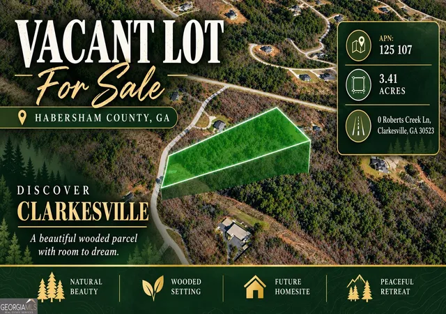 Photo 1 of Land for sale at 0 Roberts Creek Ln, Clarkesville, GA 30523 | MLS# 10818519 | Listing updated on 2026-10-01