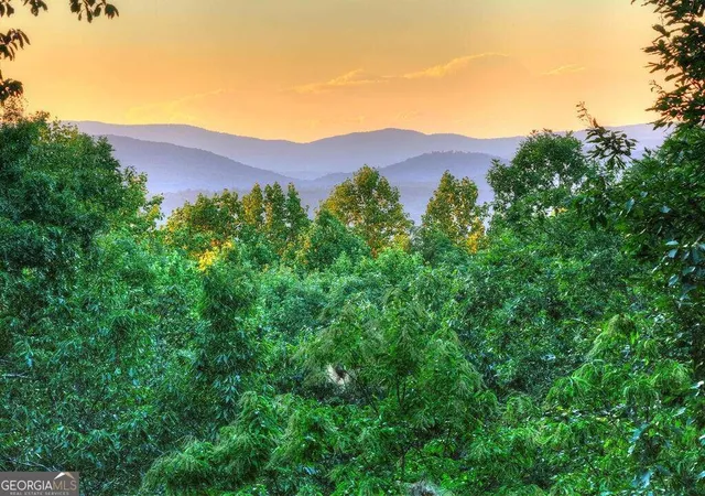 Photo 3 of Single family home for sale at 169 Walnut Mountain Rd, Ellijay, GA 30540 | MLS# 10848861 | Listing updated on 2026-10-02
