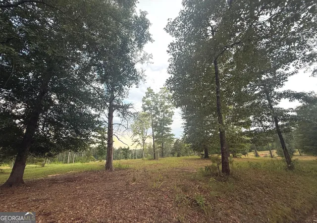 Photo 2 of Land for sale at 305 Fincher Ln, Covington, GA 30016 | MLS# 10842575 | Listing updated on 2026-09-10