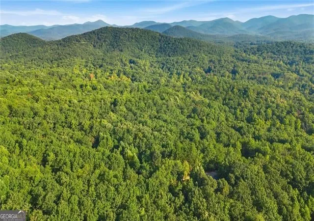 Photo 3 of Land for sale at 0 Pond View Trl, Cleveland, GA 30528 | MLS# 10848870 | Listing updated on 2026-10-02