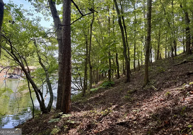 Photo 3 of Land for sale at Lot 17 Red Eye Ln, Wedowee, AL 36278 | MLS# 10851076 | Listing updated on 2026-10-06