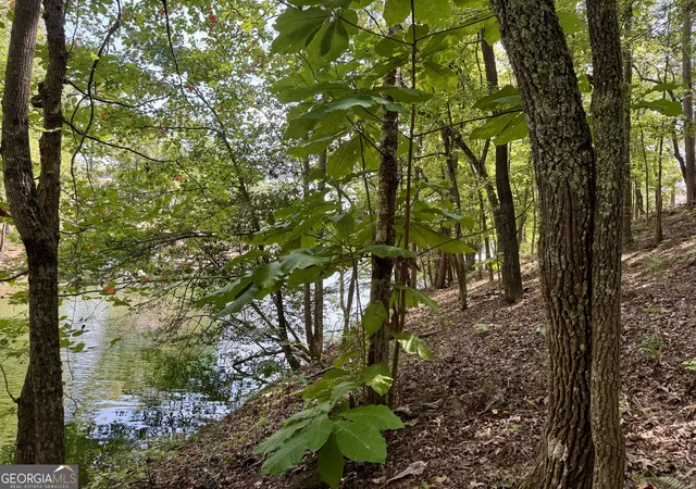 Photo 4 of Land for sale at Lot 17 Red Eye Ln, Wedowee, AL 36278 | MLS# 10851076 | Listing updated on 2026-10-06