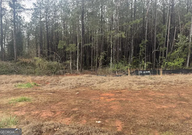 Photo 1 of Land for sale at 6679 Highway 42, Rex, GA 30273 | MLS# 10842353 | Listing updated on 2026-09-09