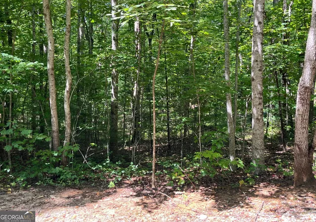 Photo 1 of Land for sale at Lot 7 Forest Canopy Way, Clayton, GA 30525 | MLS# 10839726 | Listing updated on 2026-09-17