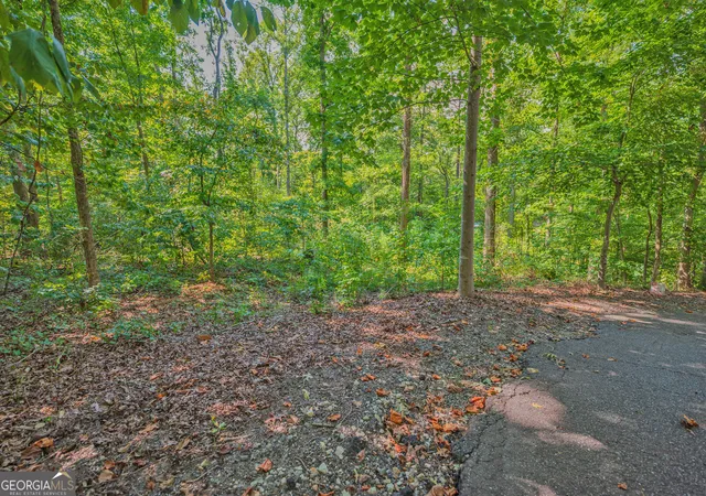 Photo 2 of Land for sale at 279 Mavericks Run, Martin, GA 30557 | MLS# 10839221 | Listing updated on 2026-09-03