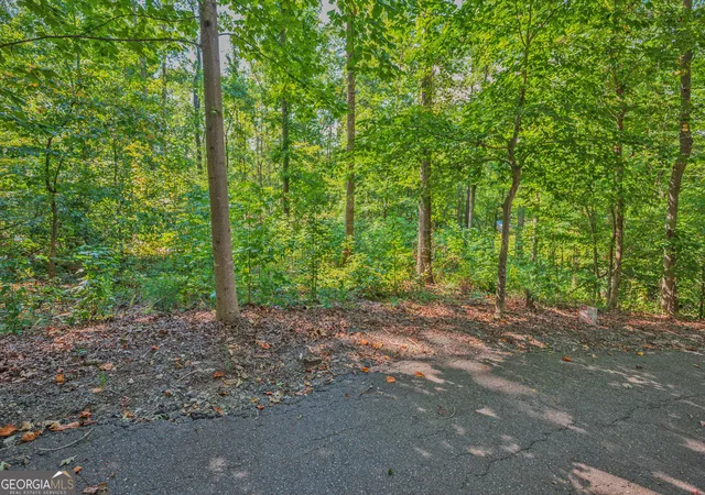 Photo 2 of Land for sale at 279 Mavericks Run, Martin, GA 30557 | MLS# 10839221 | Listing updated on 2026-09-03