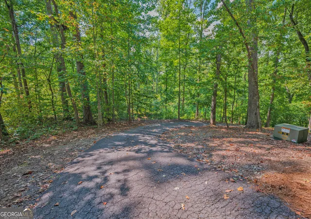 Photo 3 of Land for sale at 279 Mavericks Run, Martin, GA 30557 | MLS# 10839221 | Listing updated on 2026-09-03