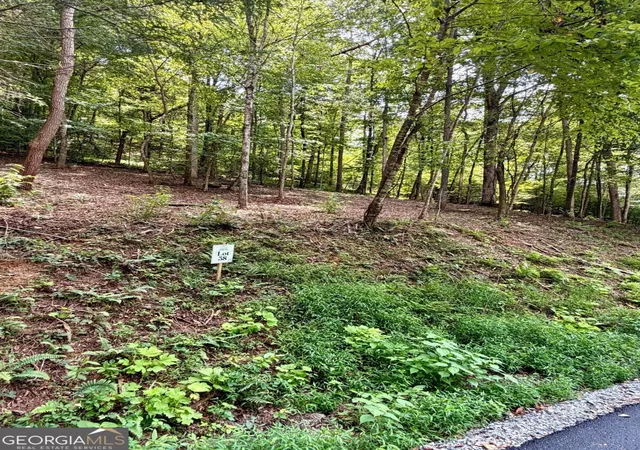 Photo 3 of Land for sale at Lot 38 Blue Horizon Dr, Blue Ridge, GA 30513 | MLS# 10848150 | Listing updated on 2026-09-17