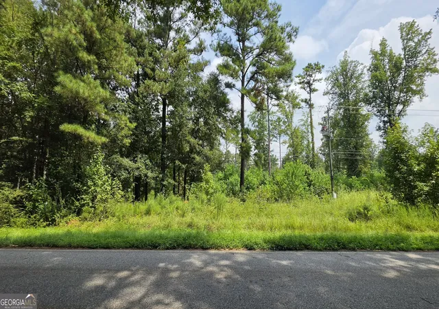 Land for sale at 7127 New Forsyth Rd, Macon, GA 31210 | MLS# 10837425