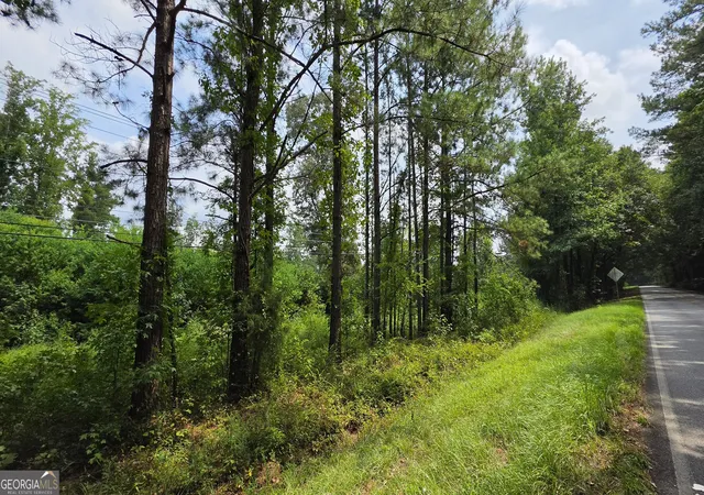 Photo 3 of Land for sale at 7127 New Forsyth Rd, Macon, GA 31210 | MLS# 10837425 | Listing updated on 2026-09-15