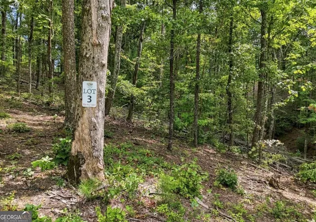 Photo 1 of Land for sale at 3 Turkey Spur Dr, Ellijay, GA 30540 | MLS# 10846937 | Listing updated on 2026-09-30