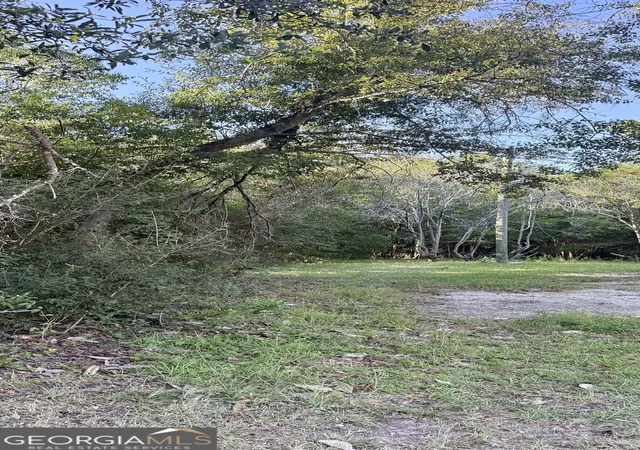 Land for sale at 00 Isabel St, Sylvania, GA 30467 | MLS# 10849748